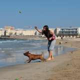 Sulla spiaggia una ragazza gioca con il suo cane 